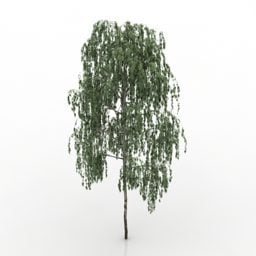 Big Tree Gardening 3d model