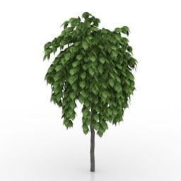 小さな葉の植木鉢3Dモデル