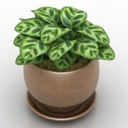 Vase Flower Leaf For Decorative 3d model