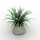 Vase Plant Chlorophytum