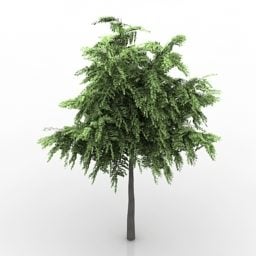 Mô hình 3d gói cây lá rộng Nhật ký dày