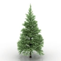 Conifers Tree Realistic 3d model
