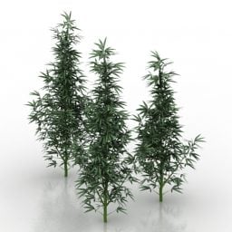 कंक्रीट पॉट 3डी मॉडल में यथार्थवादी बड़ी पत्तियों का पौधा