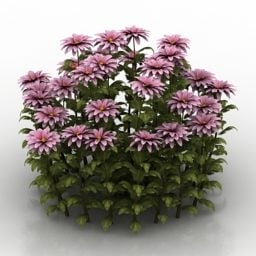 3д модель растения "Цветок хризантемы"