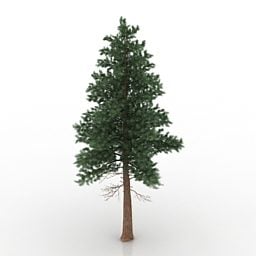 3д модель европейского широколиственного дерева