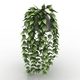 아이비 식물 교수형 꽃병 3d 모델