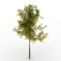 Outdoor-Pflanzenbaum mit Gras 3D-Modell