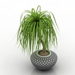 گیاه گلدانی مدل سه بعدی سایز متوسط