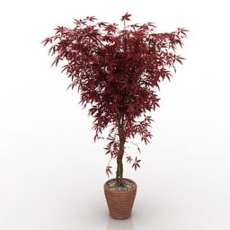 Model 3d Pohon Daun Merah Pot