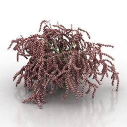 3d модель вуличної рослини з галькою