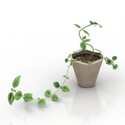 Model 3d Pot Bunga Ivy