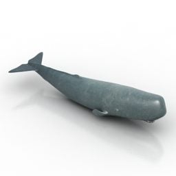 Balina Hayvanı Lowpoly 3d modeli