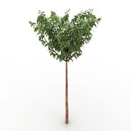 3д модель одиночного небольшого широколиственного дерева