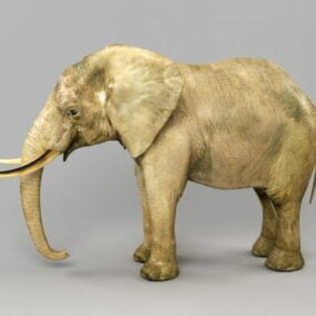 Realistic Elephant With Tusk 3d model