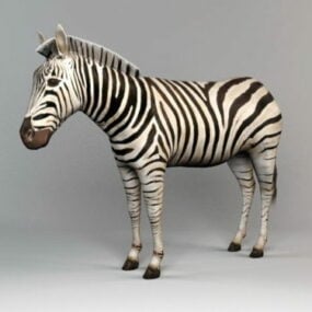 Model 3D konia zebry afrykańskiej