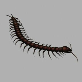 Animal Centipede Animated 3d model