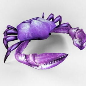 Sea Crab Rigged 3d model