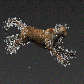 Dzikie zwierzę Leopard Rigged Model 3d