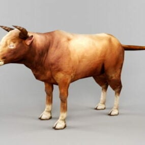 Wild Brown Cattle 3d model