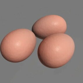 Chicken Eggs V1 3d model