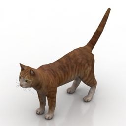 Cute Cartoon Kitten Cat 3d model