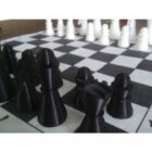 体育经典象棋
