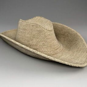 Cowboy Hat V1 3d model