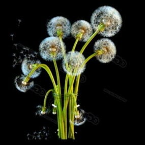 Τρισδιάστατο μοντέλο Dandelion Flower