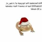 Weihnachtsmann Frosch