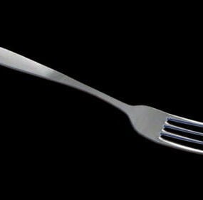 Stainless Steel Dinner Fork 3d model