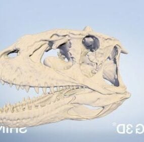 3d модель черепа динозавра