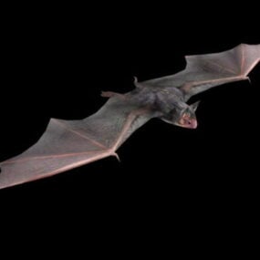 Modelo 3d de animal morcego gigante