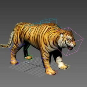 Tygrys Zwierząt Rigged Model 3d