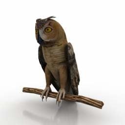 Owl On Branch 3d-modell