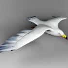 Pájaro Gaviota Blanca