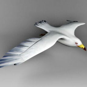 3d модель птаха біла чайка