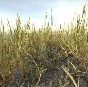 Grass Chunks 3d model
