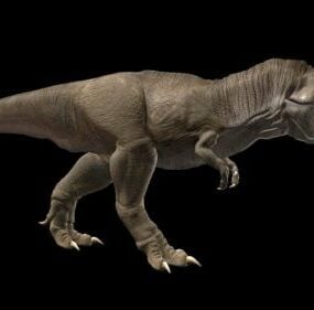 Realistisches Tyrannosarus-Rex-Dinosaurier-3D-Modell