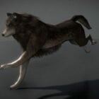 Wolf Animated