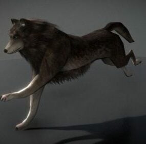Modelo 3D animado de lobo