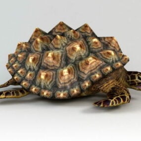 野生海龟3d模型