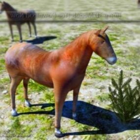 Vilde hest Lowpoly 3d model