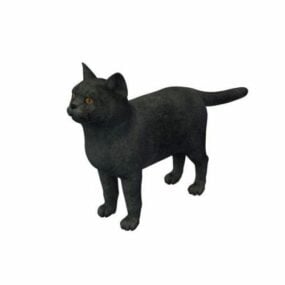Černá kočka Lowpoly 3D model