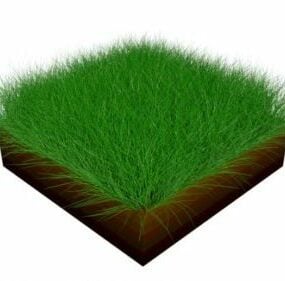 نموذج واقعي لنبات العشب الأصفر ثلاثي الأبعاد