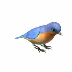 Angrybirds Blue Bird مدل سه بعدی