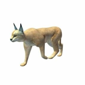 Vahşi Kedi Hayvanı 3d modeli