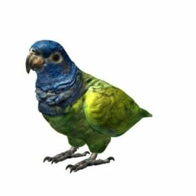 Múnla Bird Parrot 3d saor in aisce