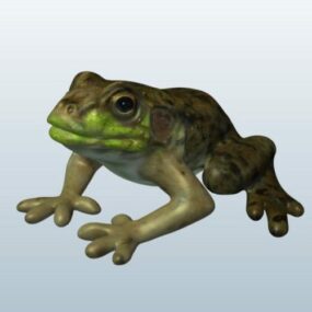 3д модель дикой зеленой лягушки