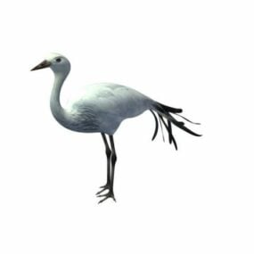3D model bílého ptáka