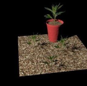 Red Pot Plant 3d model